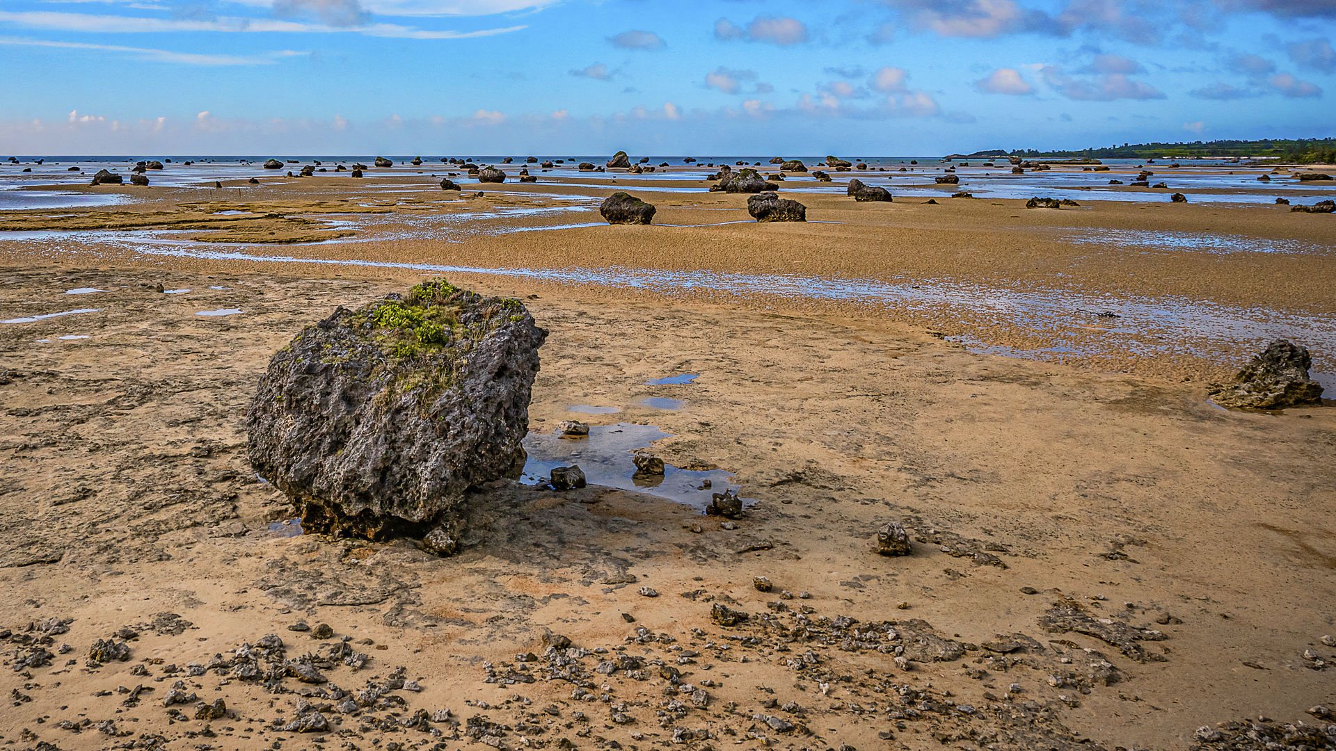 🏖️ 사와다 해변(사와다노하마) 이미지 3